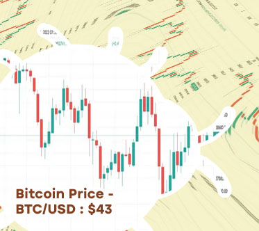 Btc tonusd
