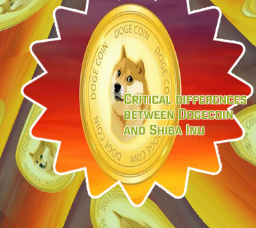 If you bought dogecoin 5 years ago