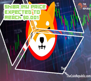 Shiba price crypto