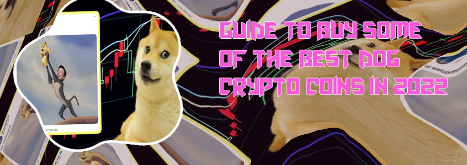 Where to buy first dog crypto